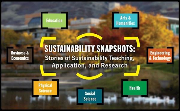 Screenshot of the Sustainability Snapshots logo.